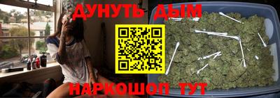 PSILOCYBIN Гатчина