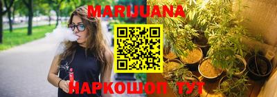 PSILOCYBIN Гатчина