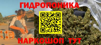 PSILOCYBIN Гатчина