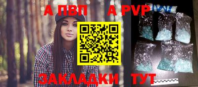 PSILOCYBIN Гатчина