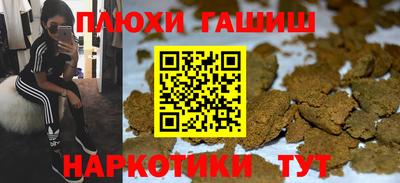 PSILOCYBIN Гатчина