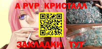 PSILOCYBIN Гатчина