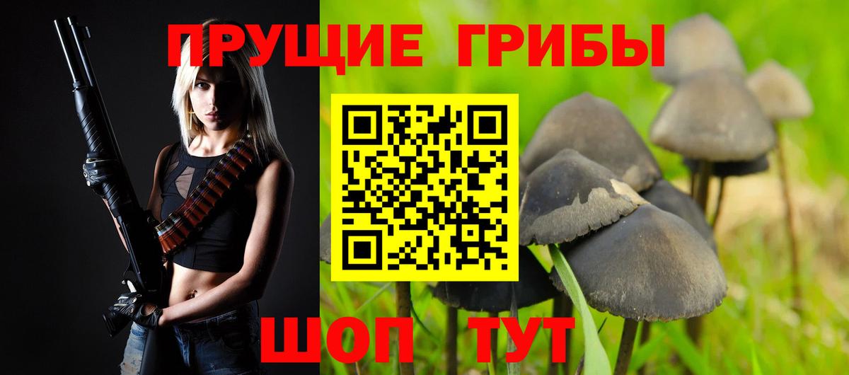 Псилоцибиновые грибы прущие грибы Нижний Новгород